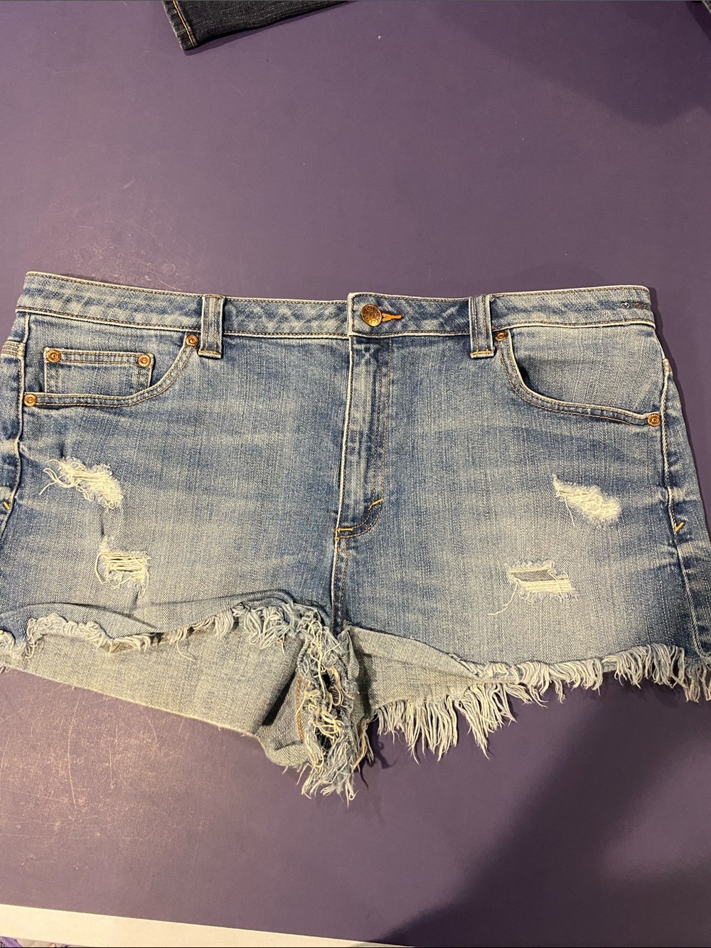 Dittos Light Blue Distressed Denim Cutoff Shorts